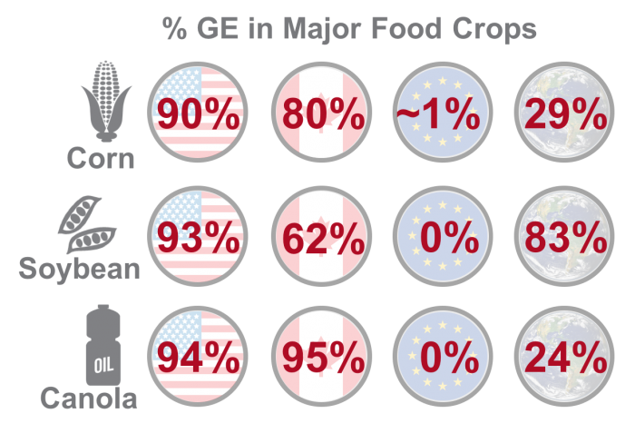 Percent genetically engineered crops comprise major food crops in United States, Canada, Europe and globally, www.feedthemwisely.com