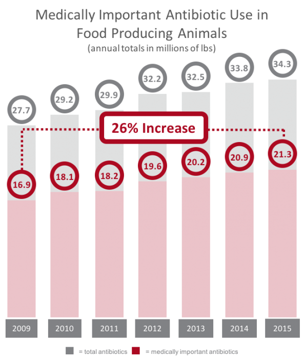 medically important antibiotic use in food producing animals
