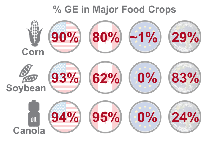 Percent genetically engineered crops comprise major food crops in United States, Canada, Europe and globally, www.feedthemwisely.com
