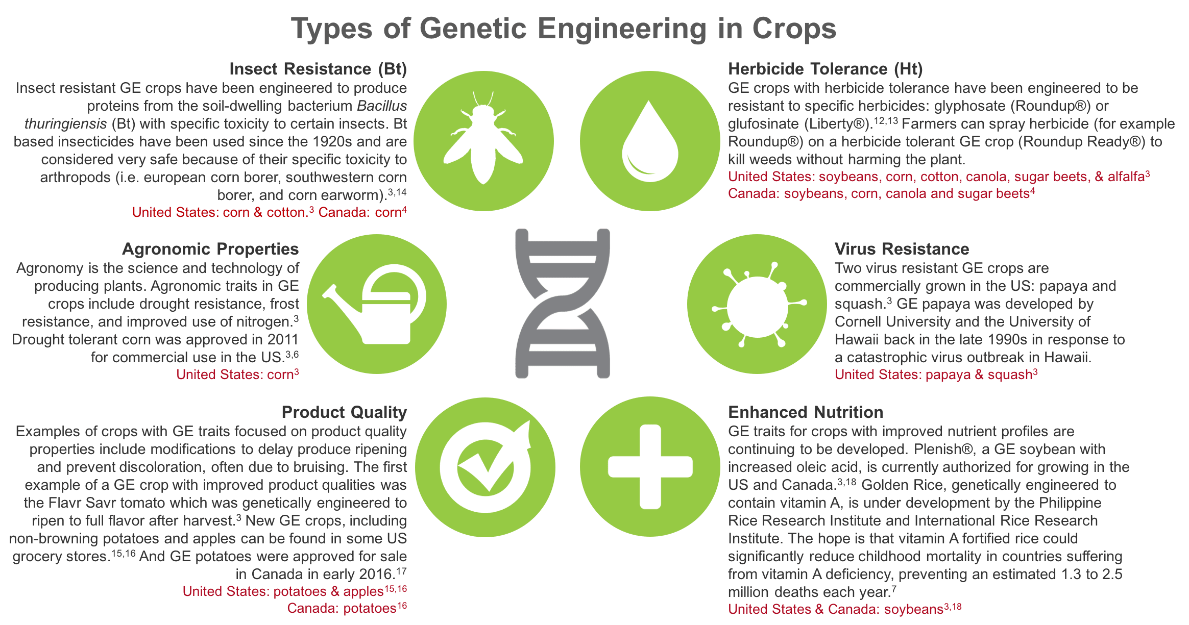 Genetic Engineering Traits in Food Crops: Insect Resistance, Herbicide Tolerance, Agronomic Properties, Virus Resistance, Product Quality, and Enhanced Nutrition. www.feedthemwisely.com