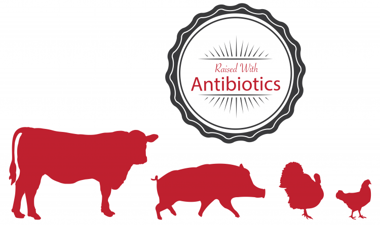 how much antibiotics in milk