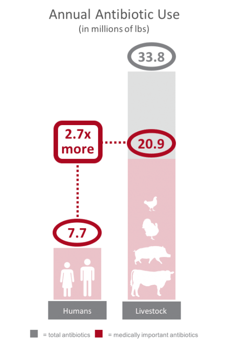 comparison of annual antibiotic use in the united states for livestock and humans