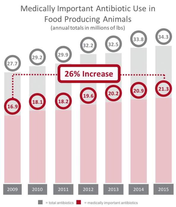 medically important antibiotic use in food producing animals