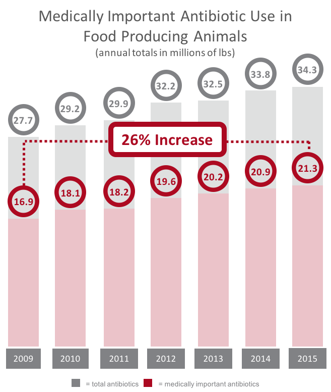 Antibiotics excessive use in livestock and why it is a problem Feed