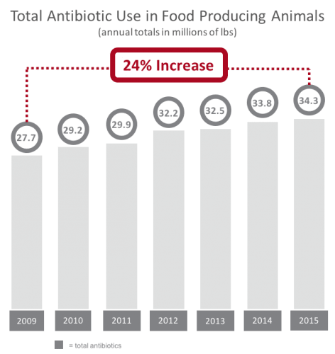 total antibiotic use in food producing animals