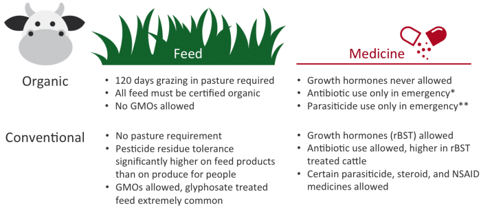 table comparing the food and medicine allowed to be given to organic and conventionally raised dairy cattle 