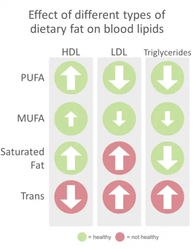 summary of how different types of dietary fat effect blood lipids