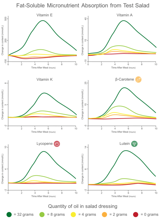 healthy salads contain fat to increase micronutrient absorption