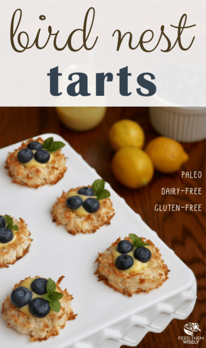 Macaroon Bird Nest Tarts Pin