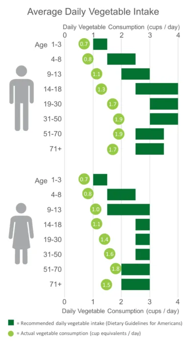 Recommended daily intake of vegetables per day