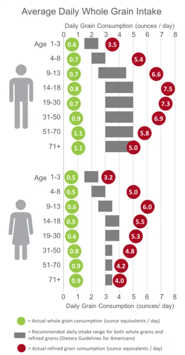 chart of daily whole and refine grain daily intake compared to dietary guideline recommendations