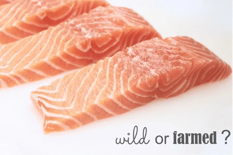 nutritional comparison of farmed and wild salmon