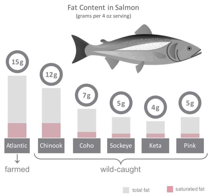 chart detailing saturated and unsaturated fat content in salmon