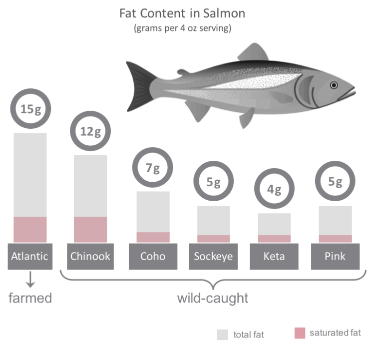 Which is Healthier Wild or Farmed Salmon? Feed Them Wisely