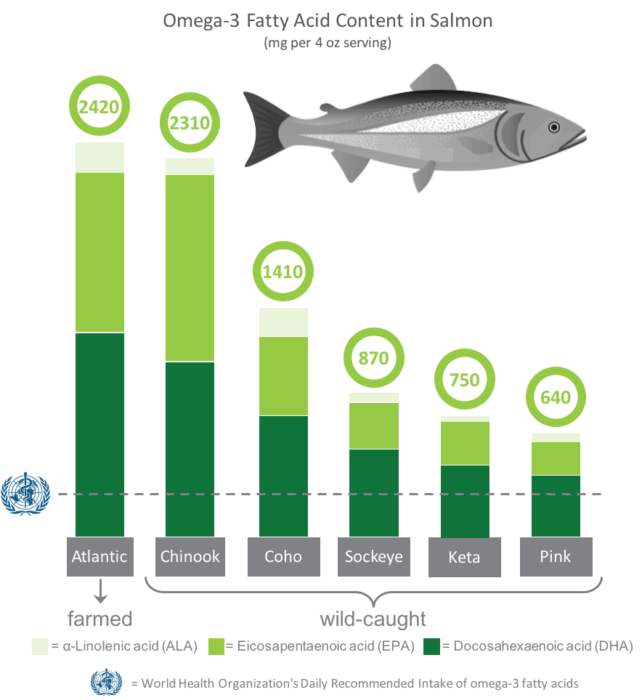 Which is Healthier Wild or Farmed Salmon? Feed Them Wisely