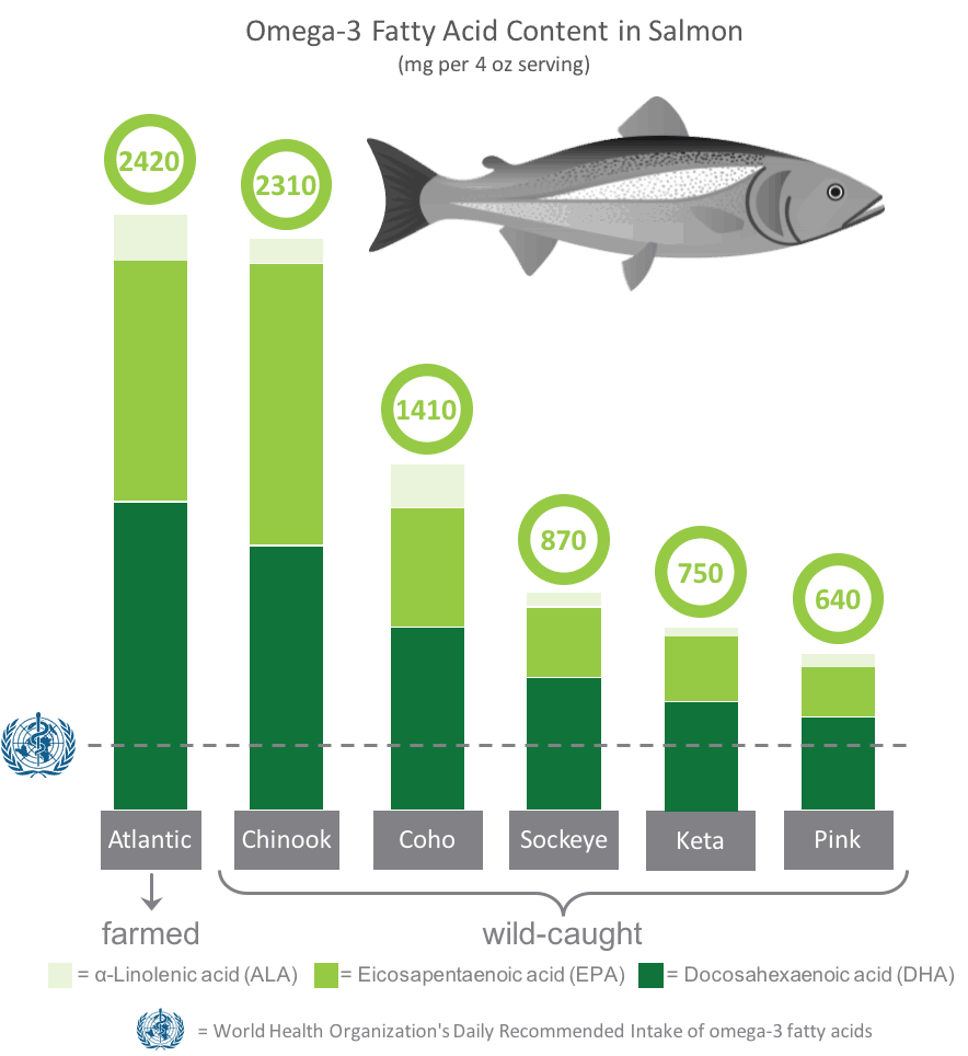 omega 3 fatty acid content in farmed and wild salmon
