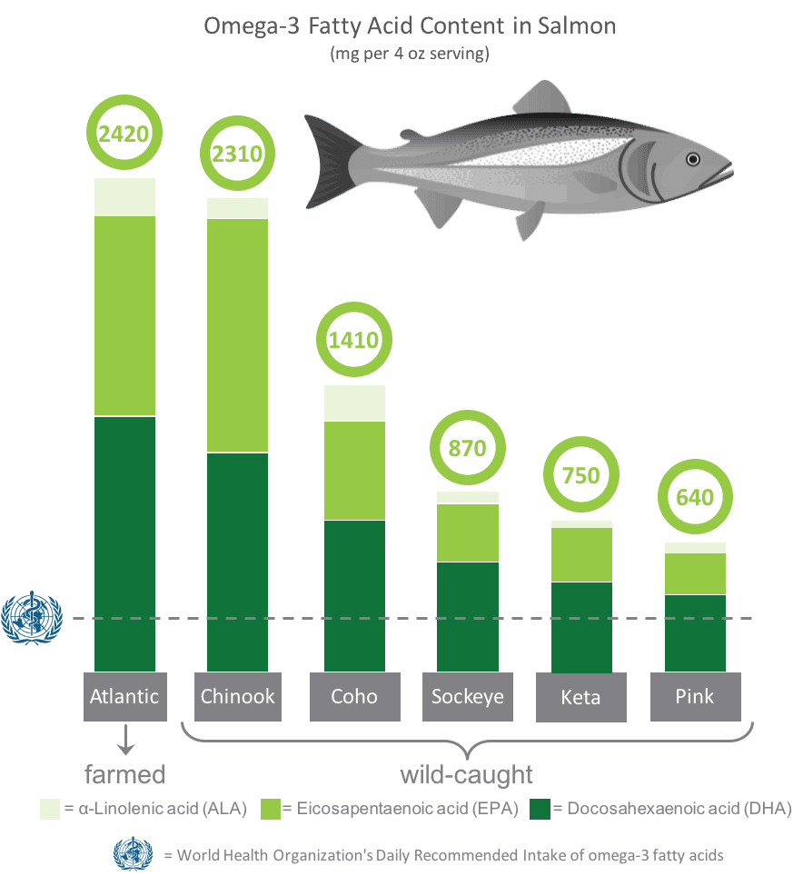 omega 3 fatty acid content in farmed and wild salmon