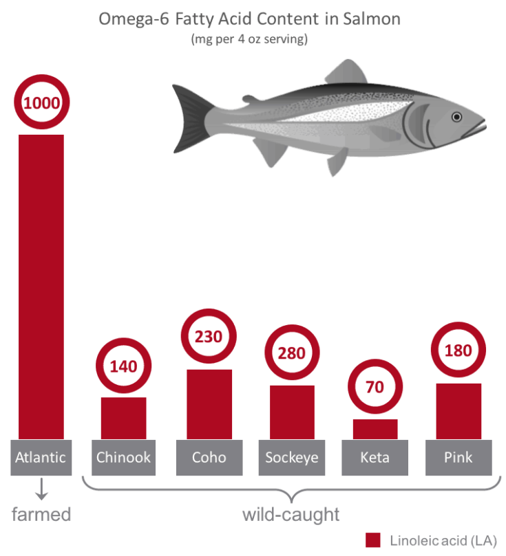 Which is Healthier Wild or Farmed Salmon? Feed Them Wisely