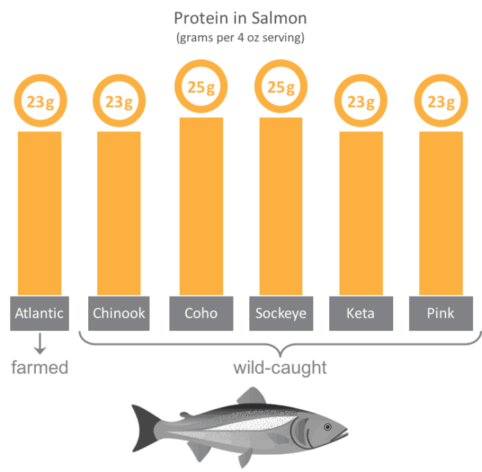 how much protein is in salmon