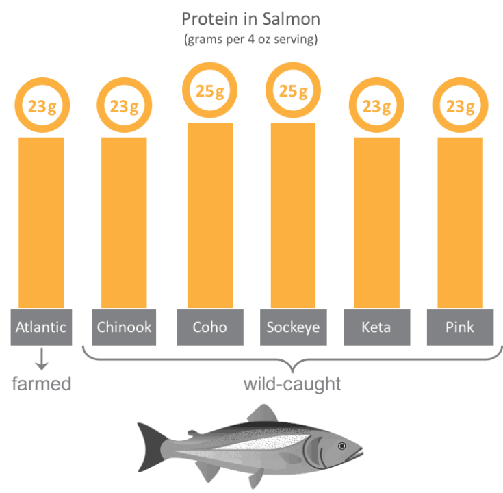 which-is-healthier-wild-or-farmed-salmon-feed-them-wisely