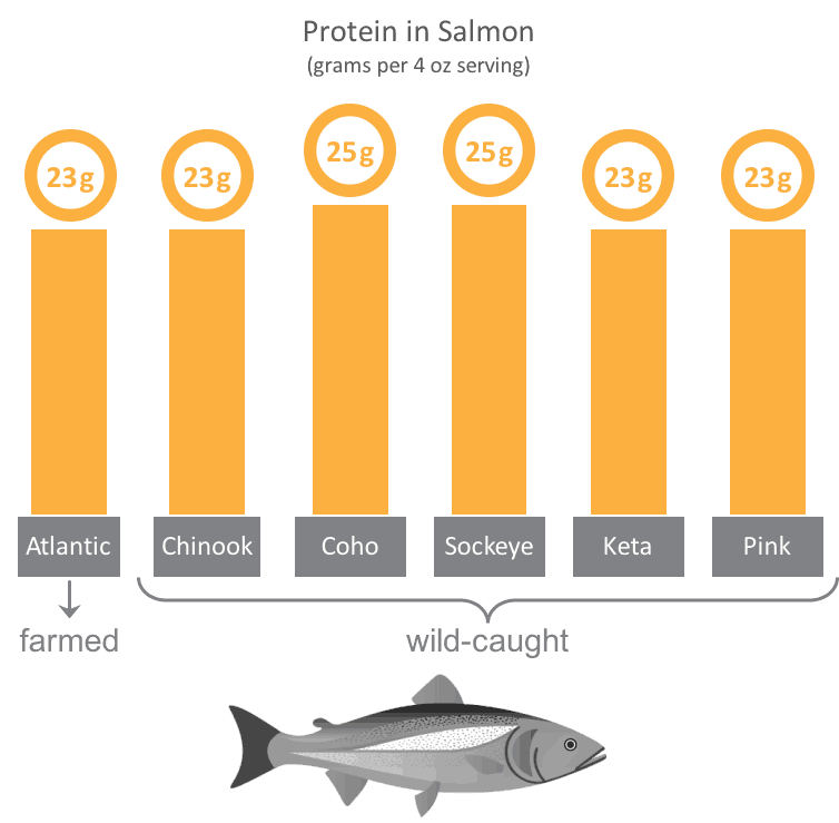 Which is Healthier Wild or Farmed Salmon? - Feed Them Wisely