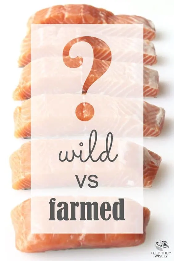 which is healthier wild or farmed salmon
