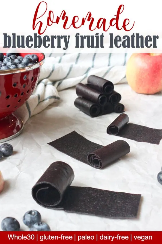 Easy to make homemade blueberry fruit leather