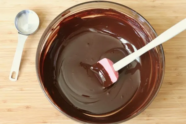 Paleo Chocolate Cake is made an avocado oil and water based chocolate ganache