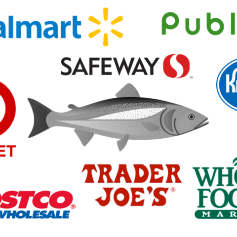 who sells healthy farmed salmon header evaluation of salmon from popular grocery stores