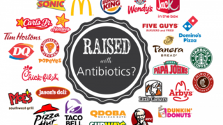 Which fast food restaurants serve antibiotic free meat? Our comprehensive post details the antibiotics use policies of 26 popular restaurants.