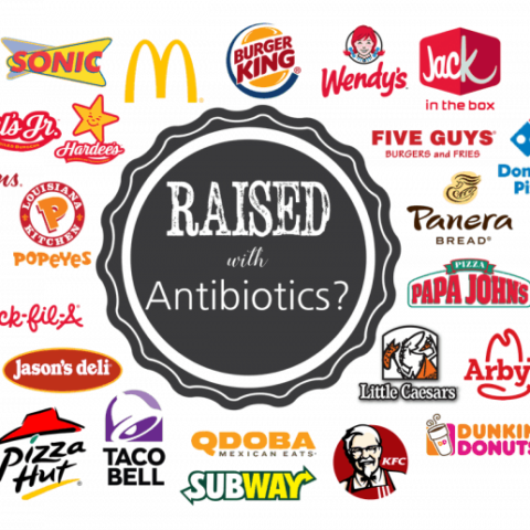 Which fast food restaurants serve antibiotic free meat? Our comprehensive post details the antibiotics use policies of 26 popular restaurants.