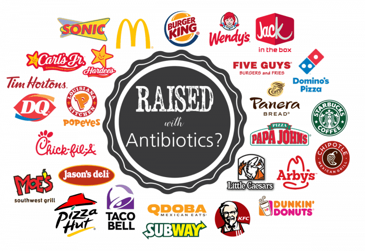 Which fast food restaurants serve antibiotic free meat? Our comprehensive post details the antibiotics use policies of 26 popular restaurants.
