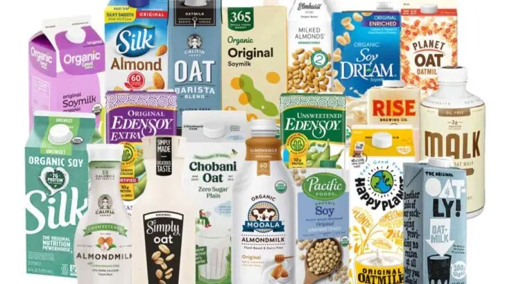Vegan Milk: Guide to the Best Dairy-Free Brands 